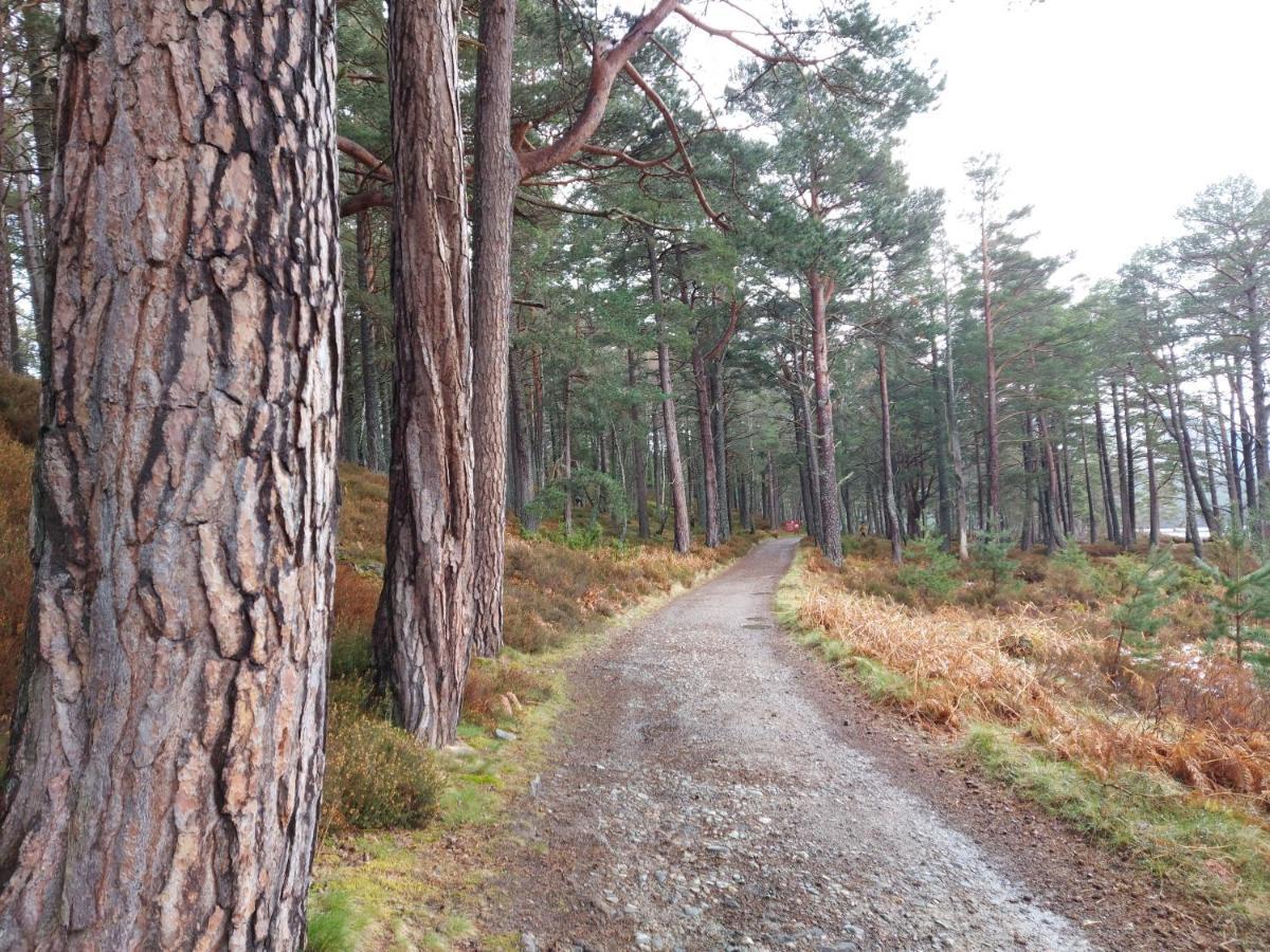 Holiday House Kinveachy Aviemore Eksteriør bilde